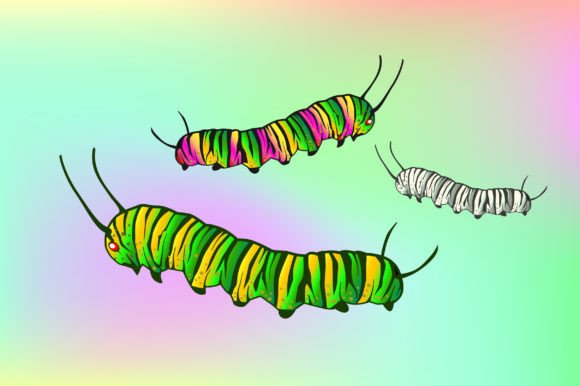 Caterpillars Vector Illustrations