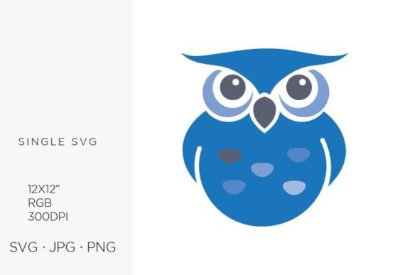 Cute Little Owl on White