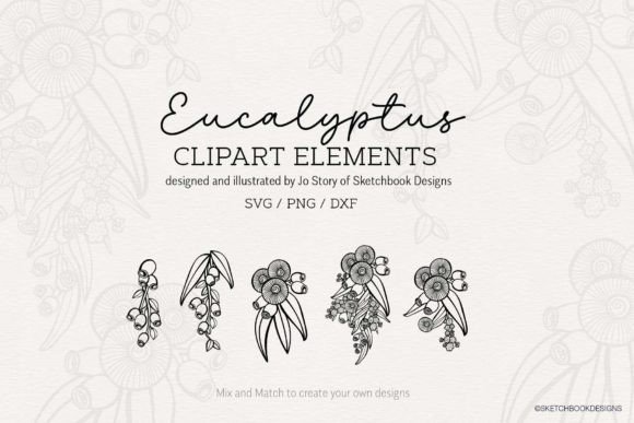 Hand-drawn Eucalyptus Clipart SVG