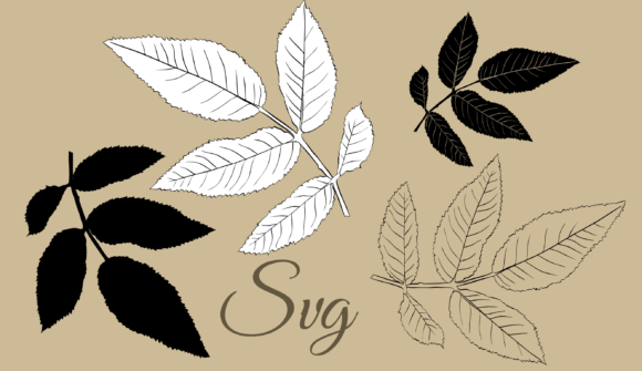 Leaves Minimalism: Graphics and Illustrations for Modern Design