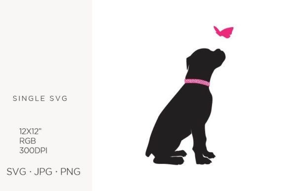 Pet, Dog with Butterfly Graphics and Illustrations