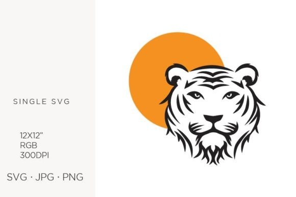 Tiger, Vector Illustration Graphics
